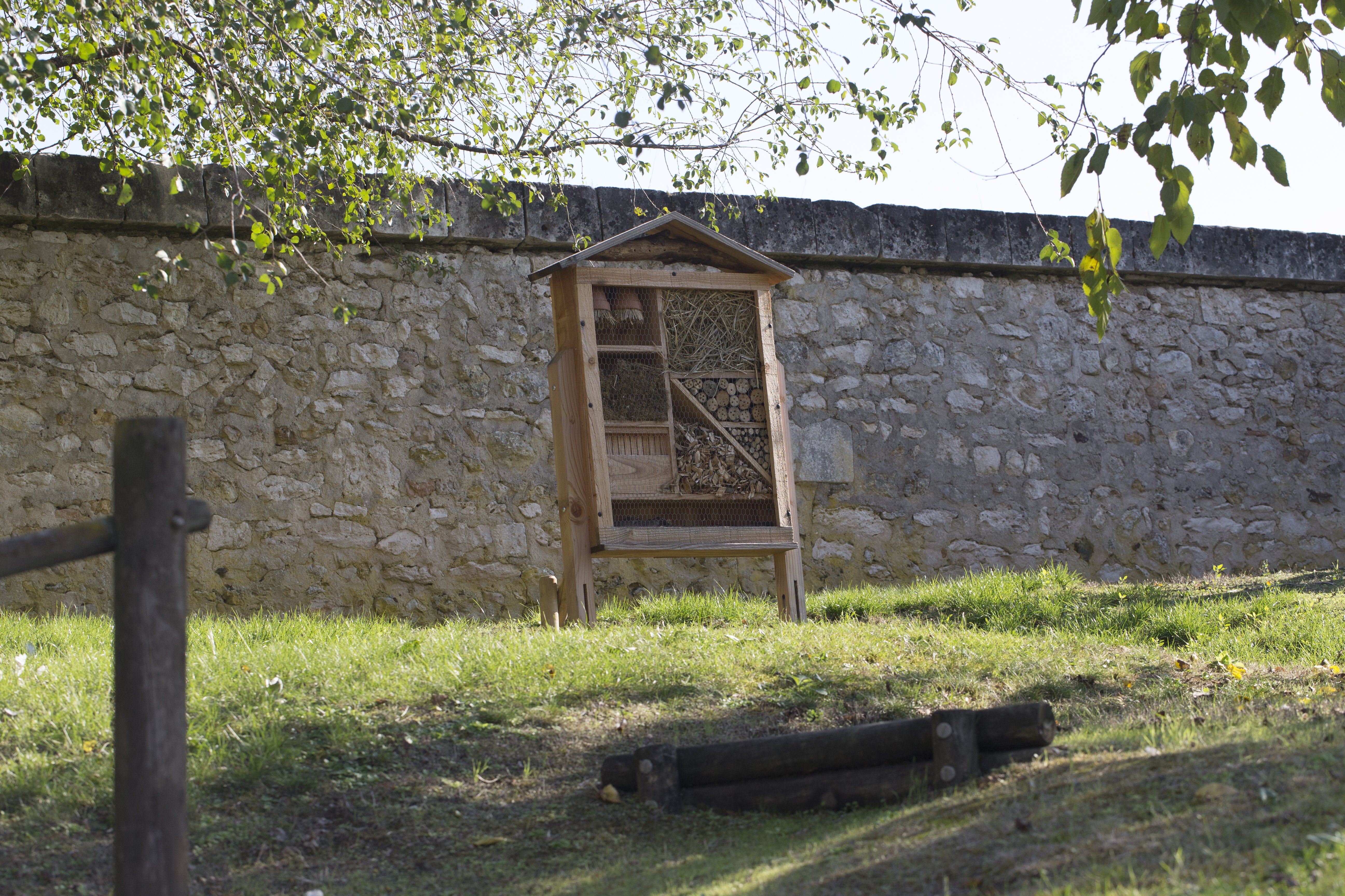 Sentier Nature et Observatoire à Oiseaux (Châteauvieux et Seigy), Châteauvieux - photo 7