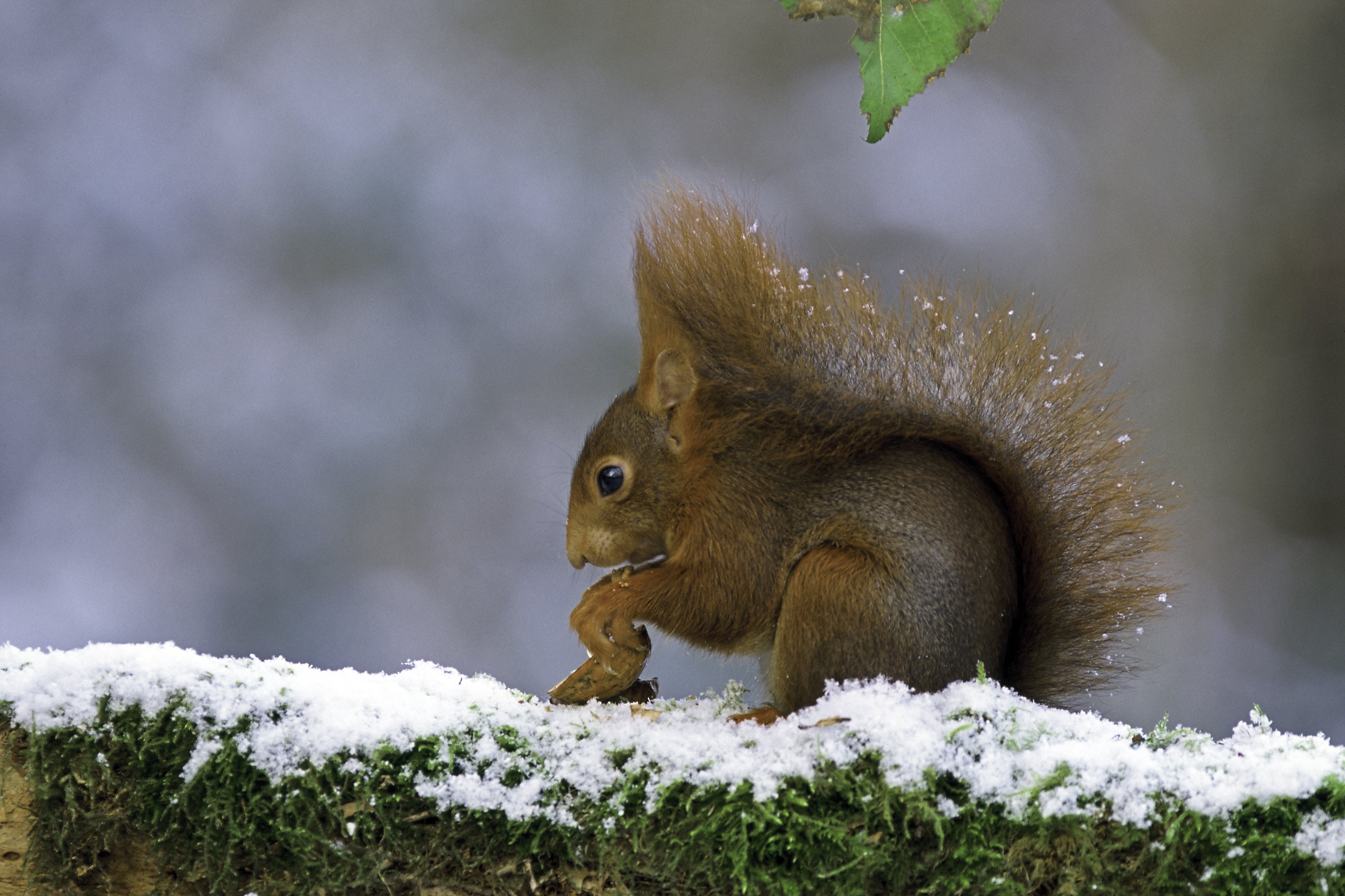 Sentier Nature et Observatoire à Oiseaux (Châteauvieux et Seigy), Châteauvieux