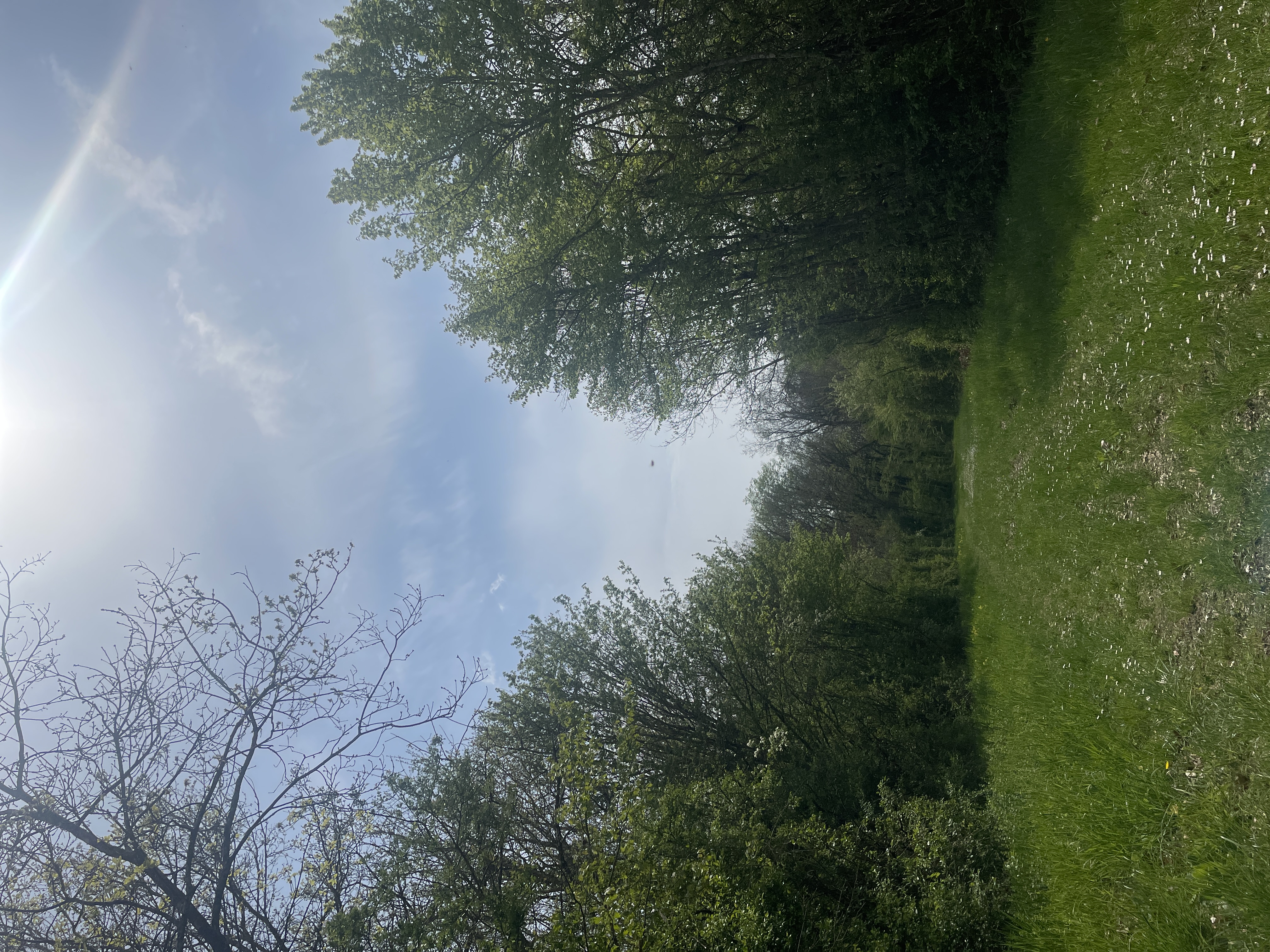 Les loges de vignolles