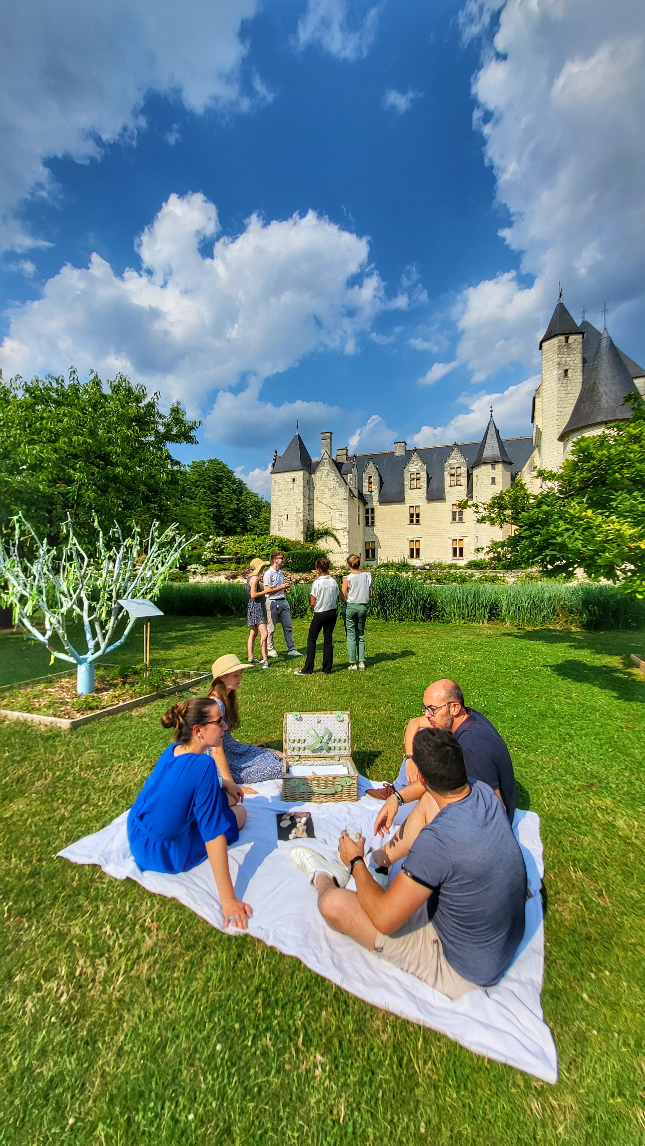 Apé'rivau, Lémeré - photo 5