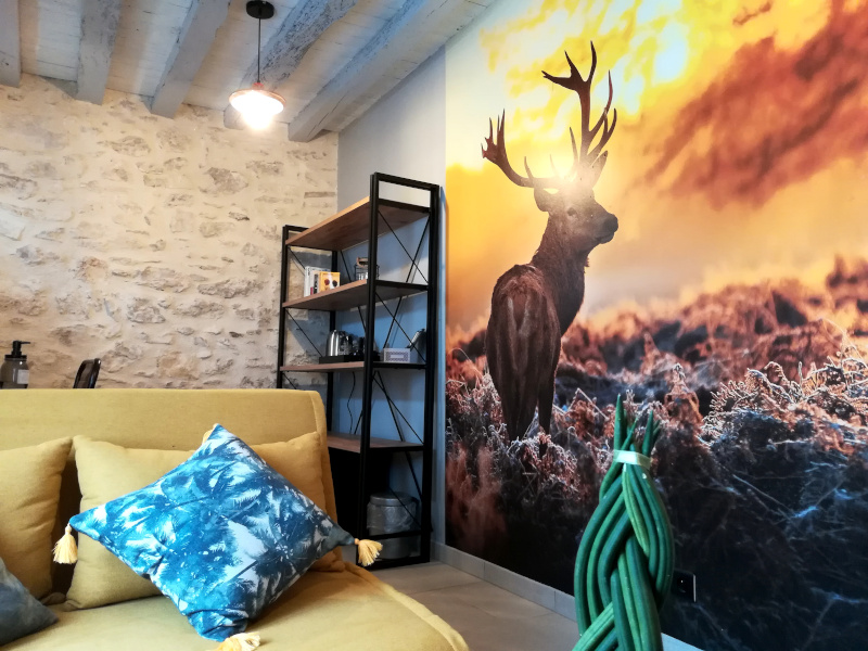 Au Hasard, Montrieux-en-Sologne - photo 6