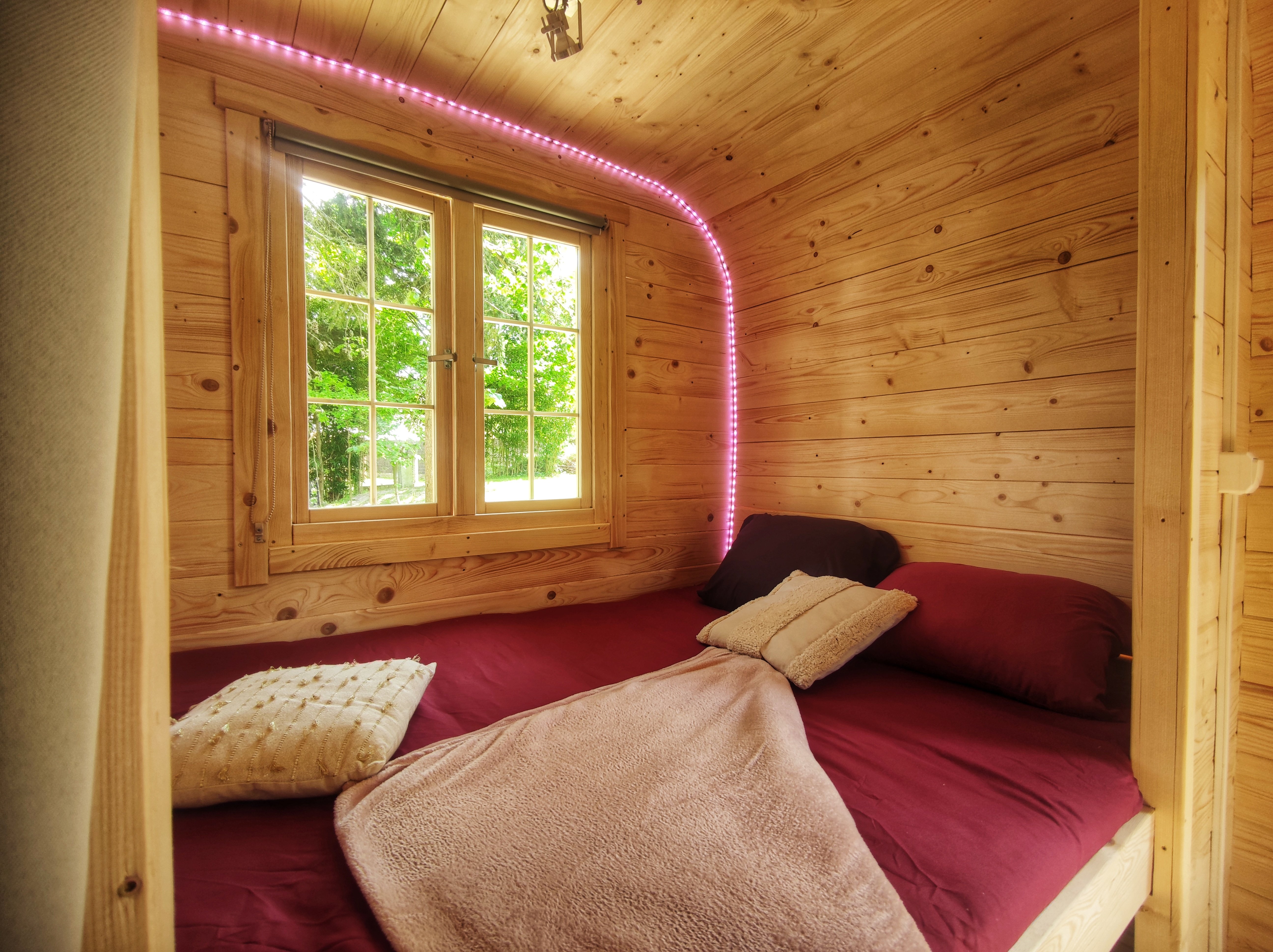 Les Atypiques de Sologne, Pruniers-en-Sologne - photo 5