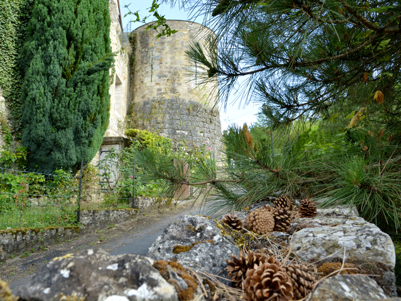 Visite de la cité médiévale de Mennetou, Mennetou-sur-Cher - photo 7