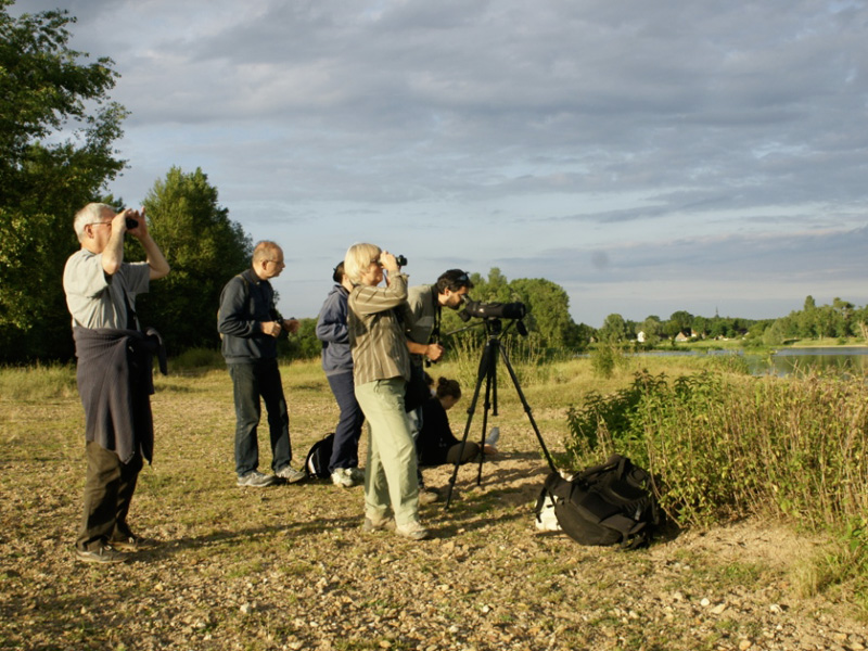 Découverte de la nature en Sologne, Romorantin-Lanthenay - photo 4