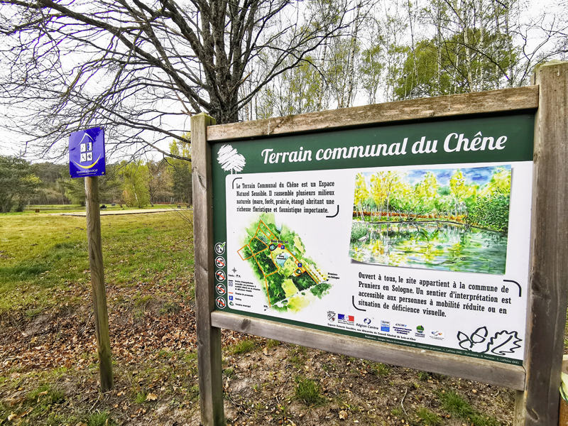 Le sentier des Mares - Le chêne, Pruniers-en-Sologne - photo 6