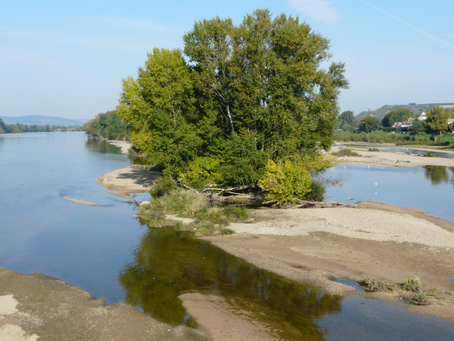 Loire nature decouverte : balades insolites nature©