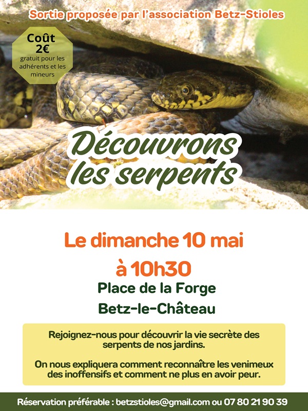 Découvrons les serpents