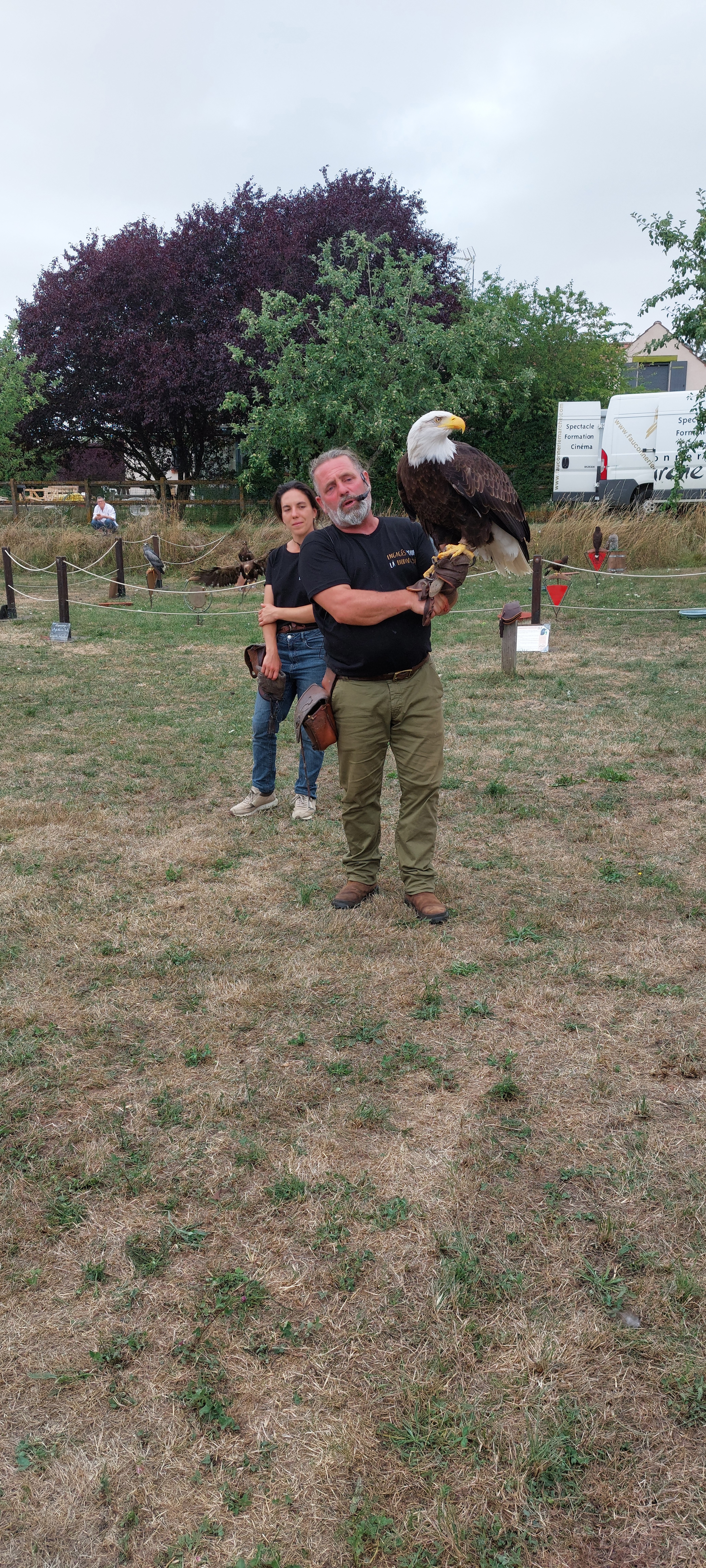 Spectacle de vol de rapaces