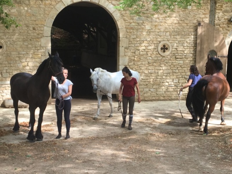 Centre équestre Poney-club des Champs Forts