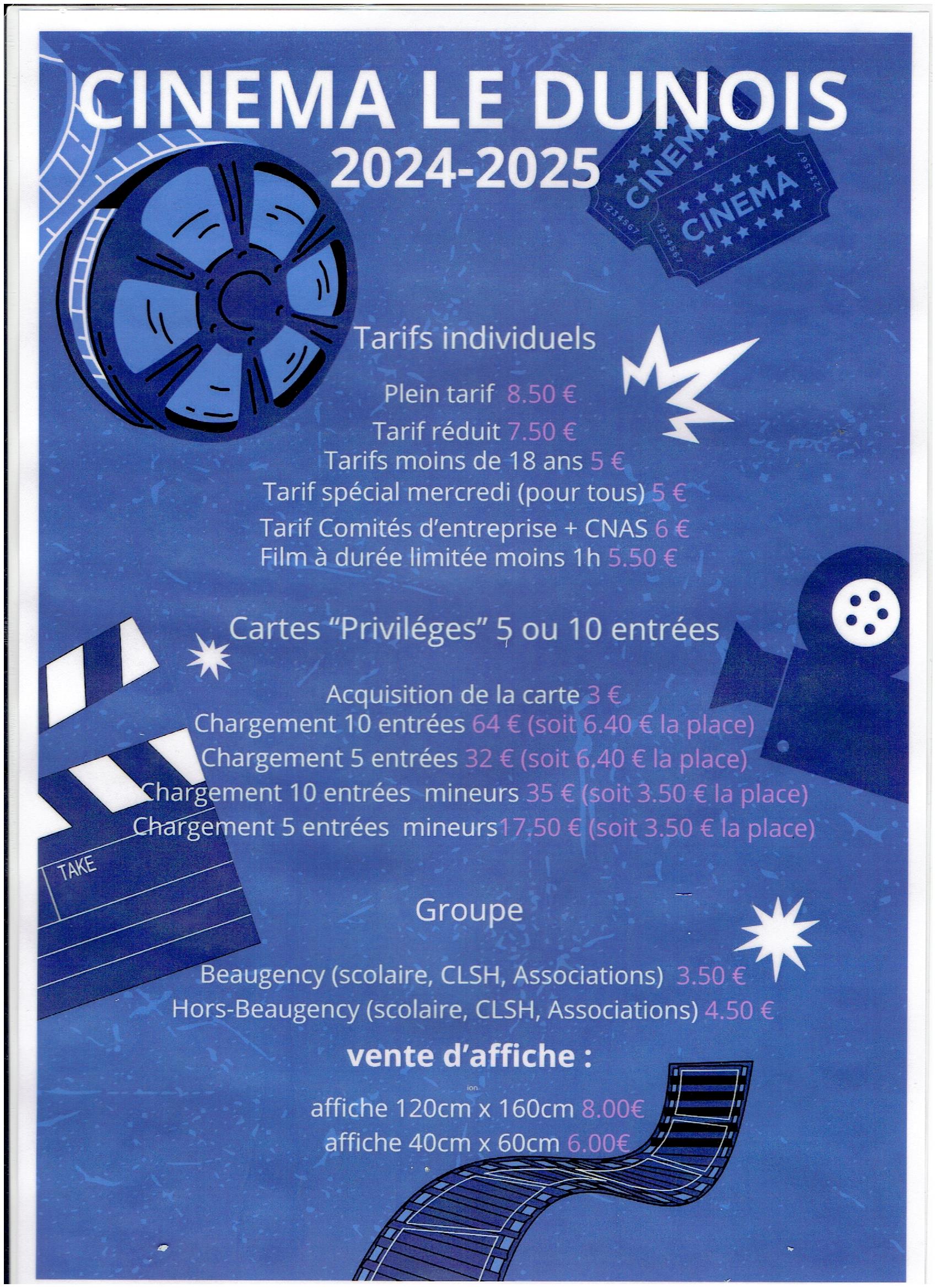 Cinéma Le Dunois, Beaugency - photo 3