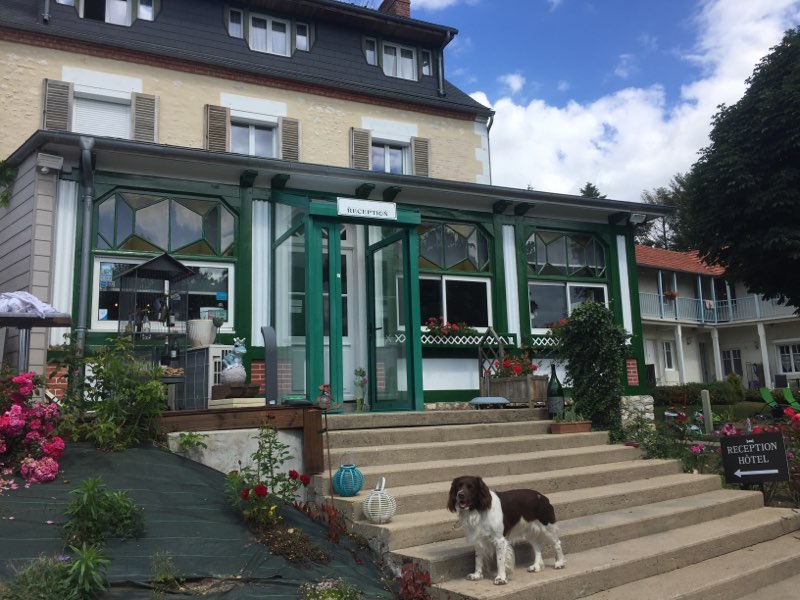 La Buissonnière, Bannay - photo 4