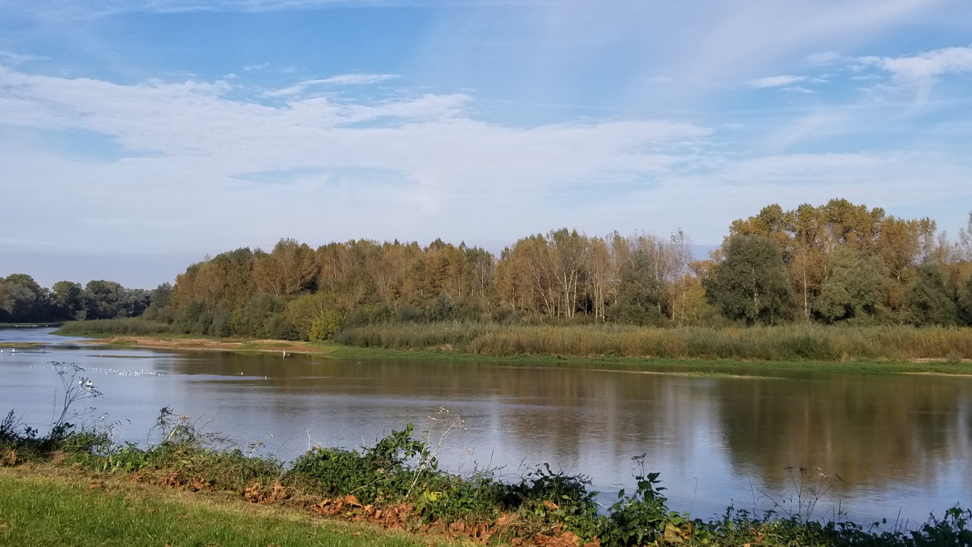 Visite guidée estivale "La Loire à Sully sur Loire, toute une histoire" null France null null null null