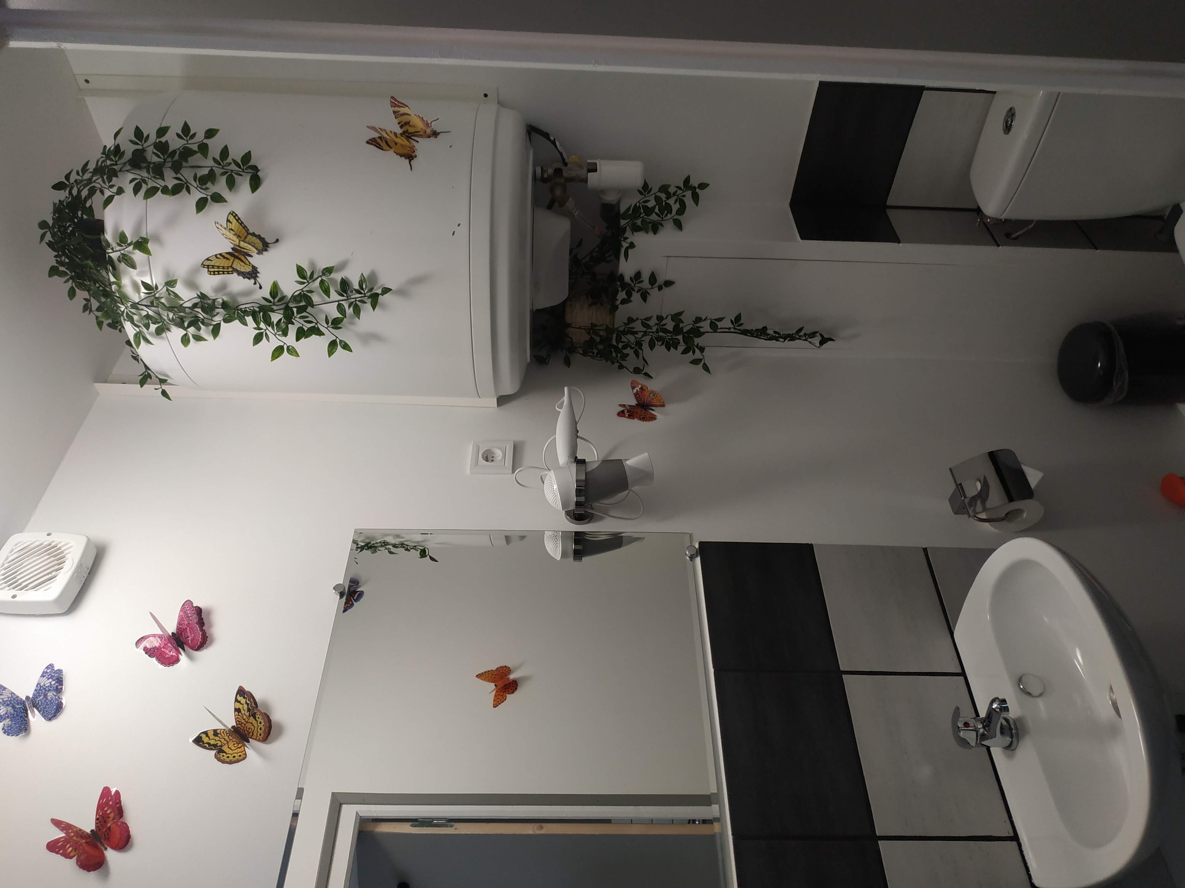 Gîte Le Loup, Lamotte-Beuvron - photo 4