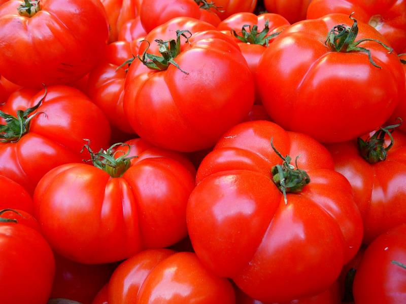 Foire aux tomates