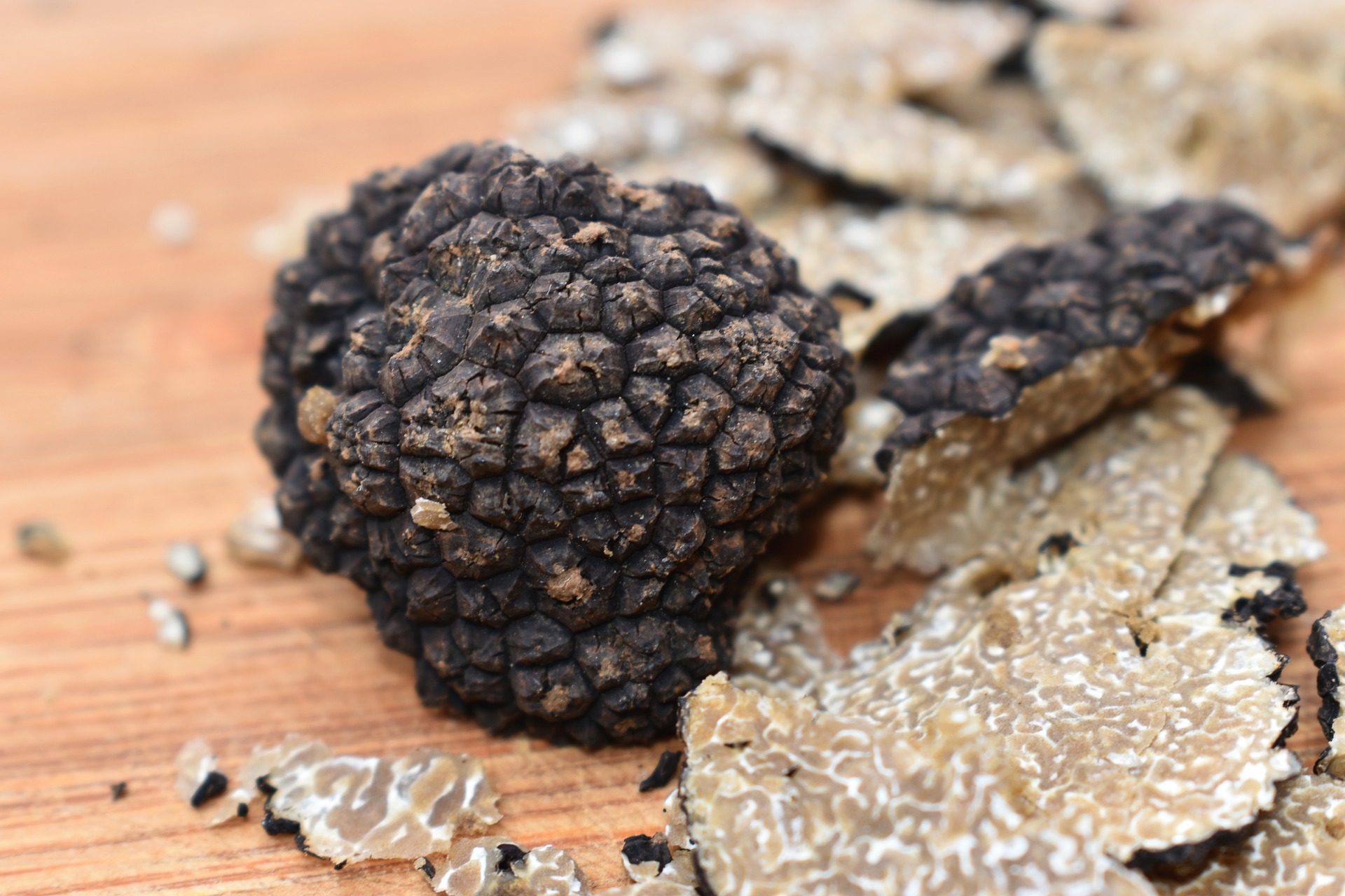Ferme Challine - Truffes et champignons