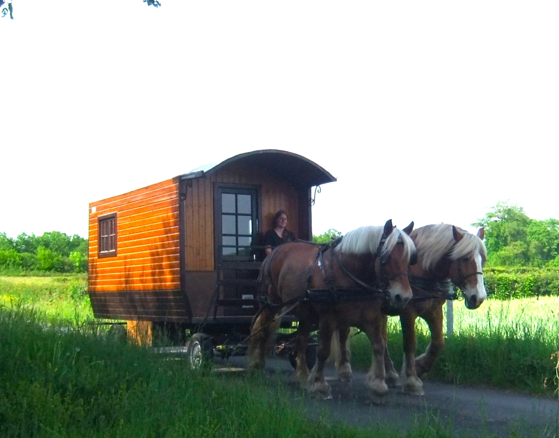 Séjour itinérant en roulotte avec 2 chevaux, Saint-Priest-la-Marche - photo 6