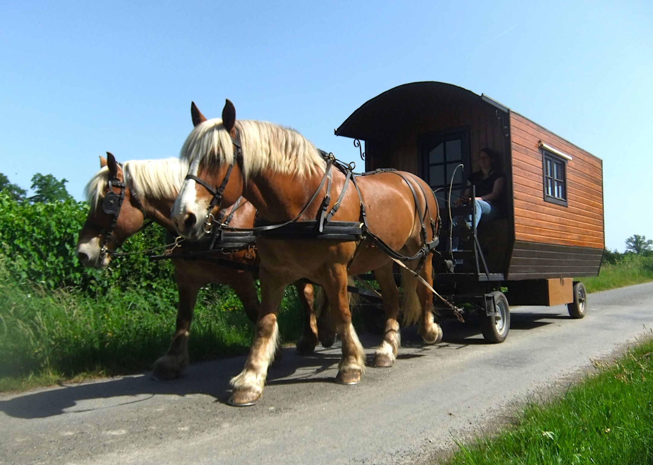 Séjour itinérant en roulotte avec 2 chevaux, Saint-Priest-la-Marche - photo 15