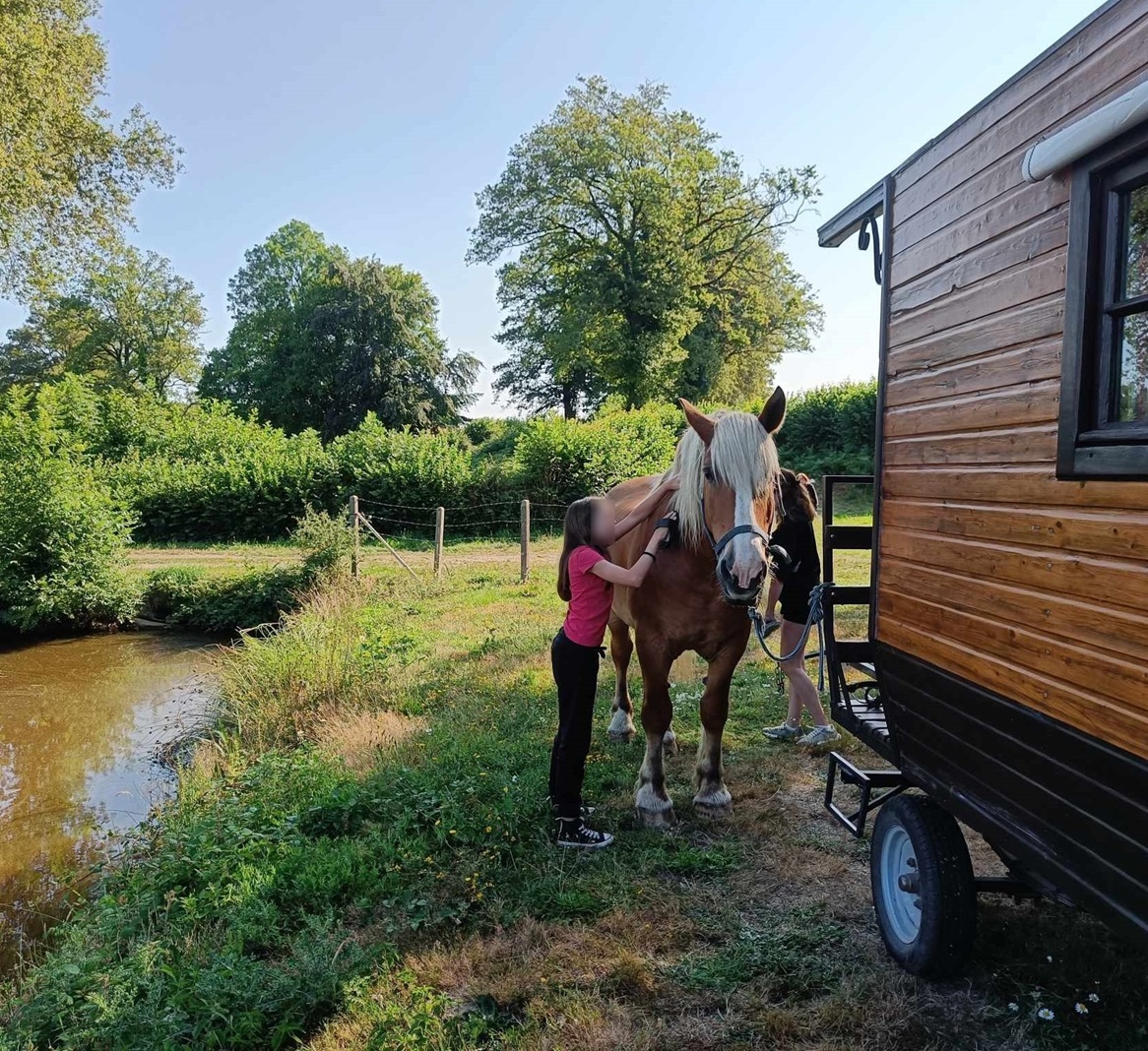 Séjour itinérant en roulotte avec 2 chevaux, Saint-Priest-la-Marche - photo 8