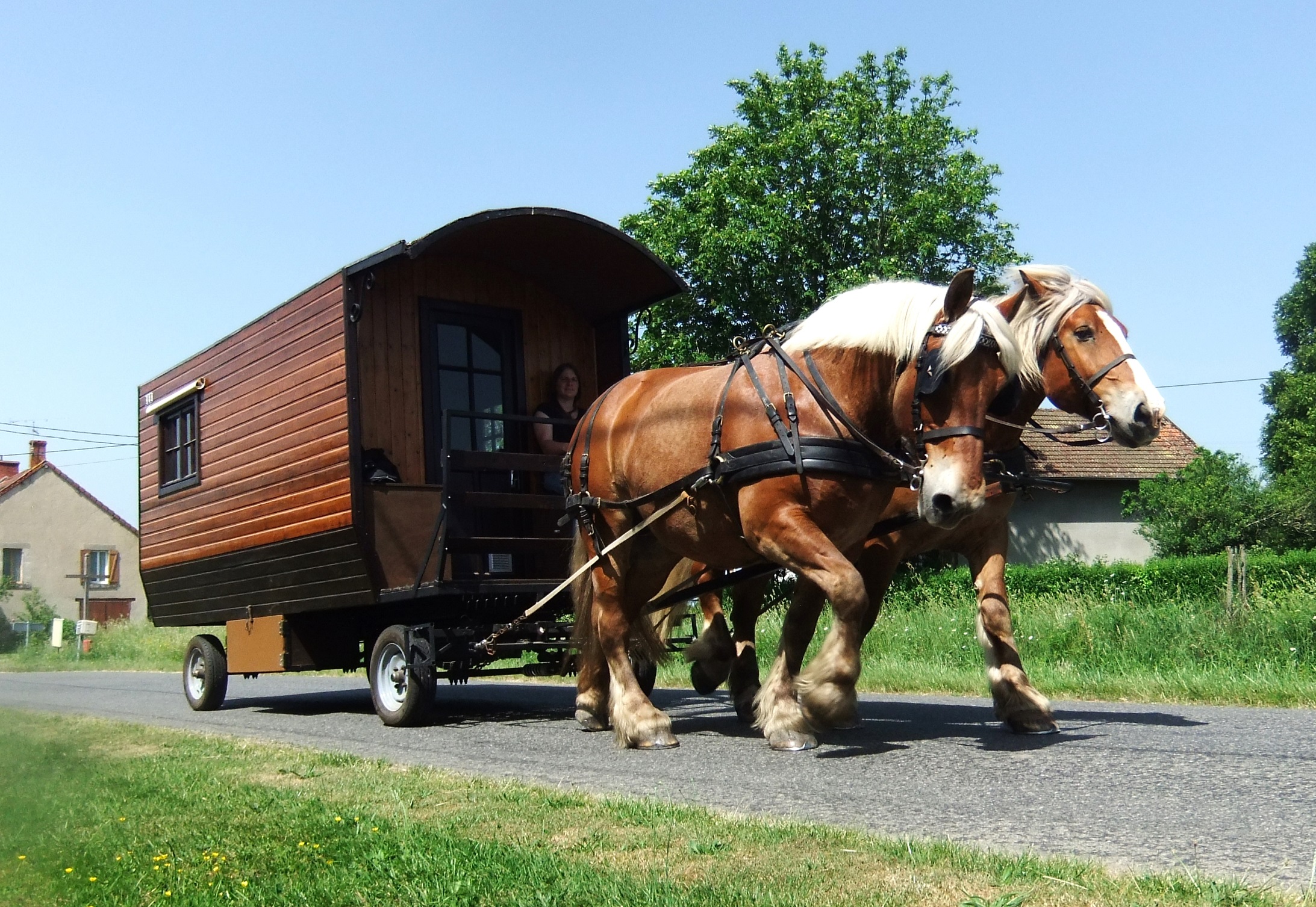 Séjour itinérant en roulotte avec 2 chevaux, Saint-Priest-la-Marche - photo 4