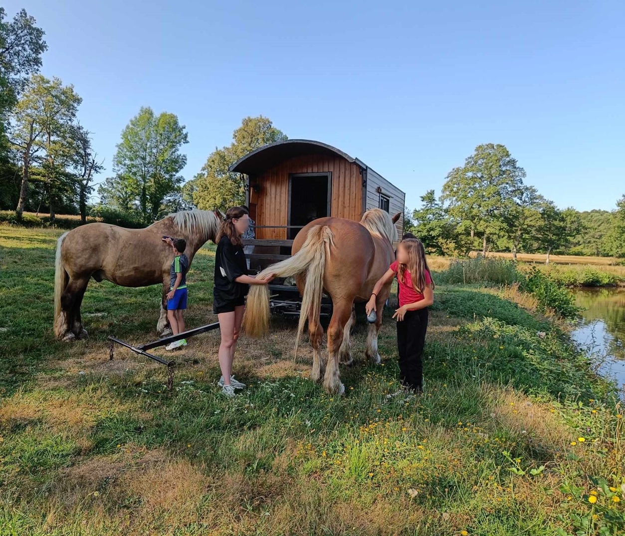 Séjour itinérant en roulotte avec 2 chevaux, Saint-Priest-la-Marche - photo 2