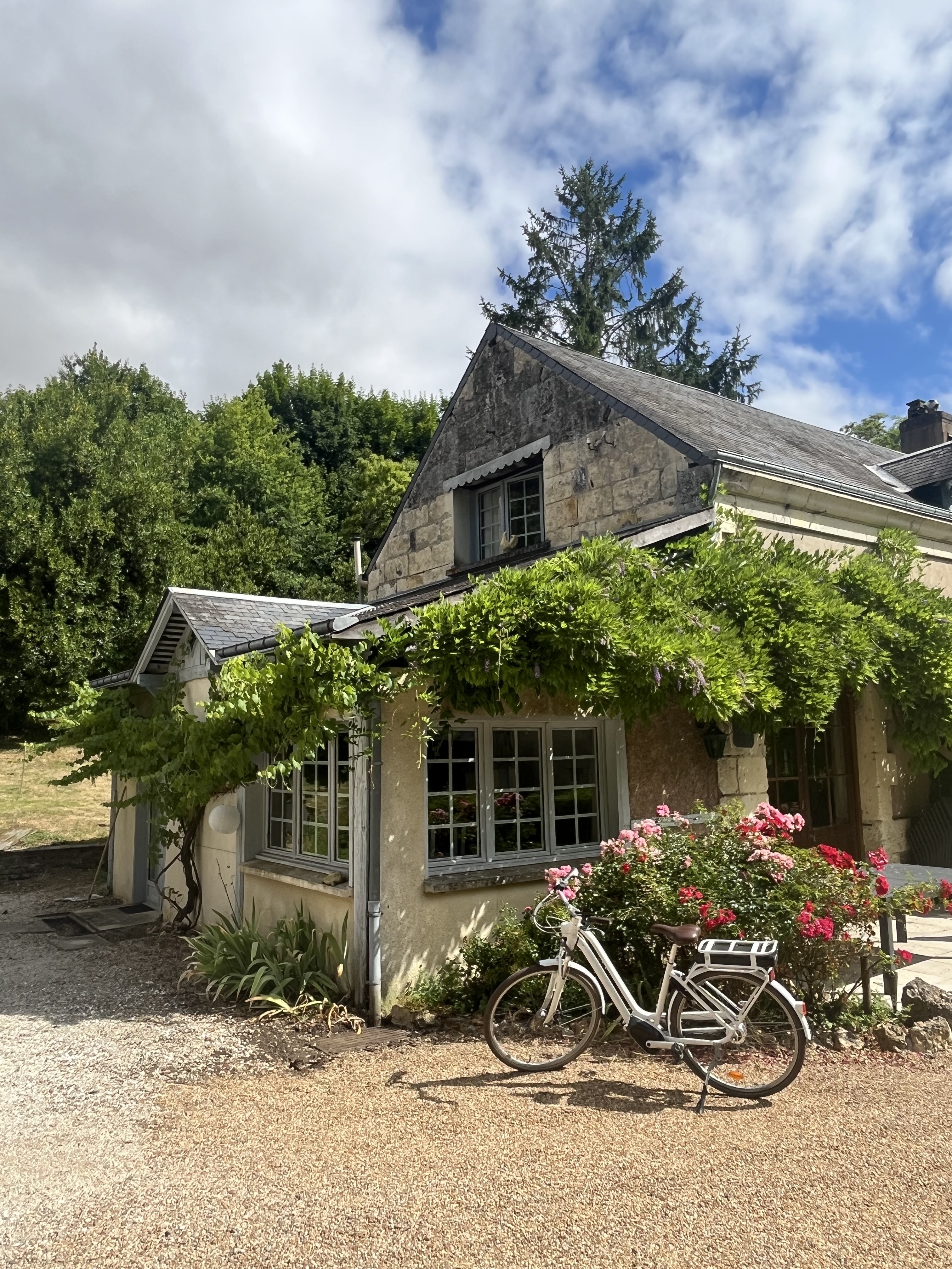 Domaine du moulin de la plaine, Troo - photo 8