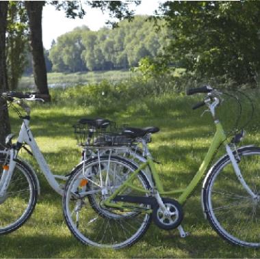 Absolument canoë - Location de vélos