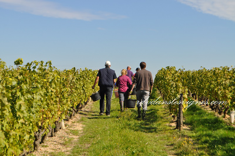 Rendez-Vous dans les Vignes, Chançay - photo 10