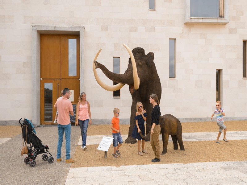 Visite accompagnée du village, Le Grand-Pressigny - photo 3
