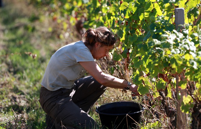 Domaine de la méchinière | Valérie Forgues