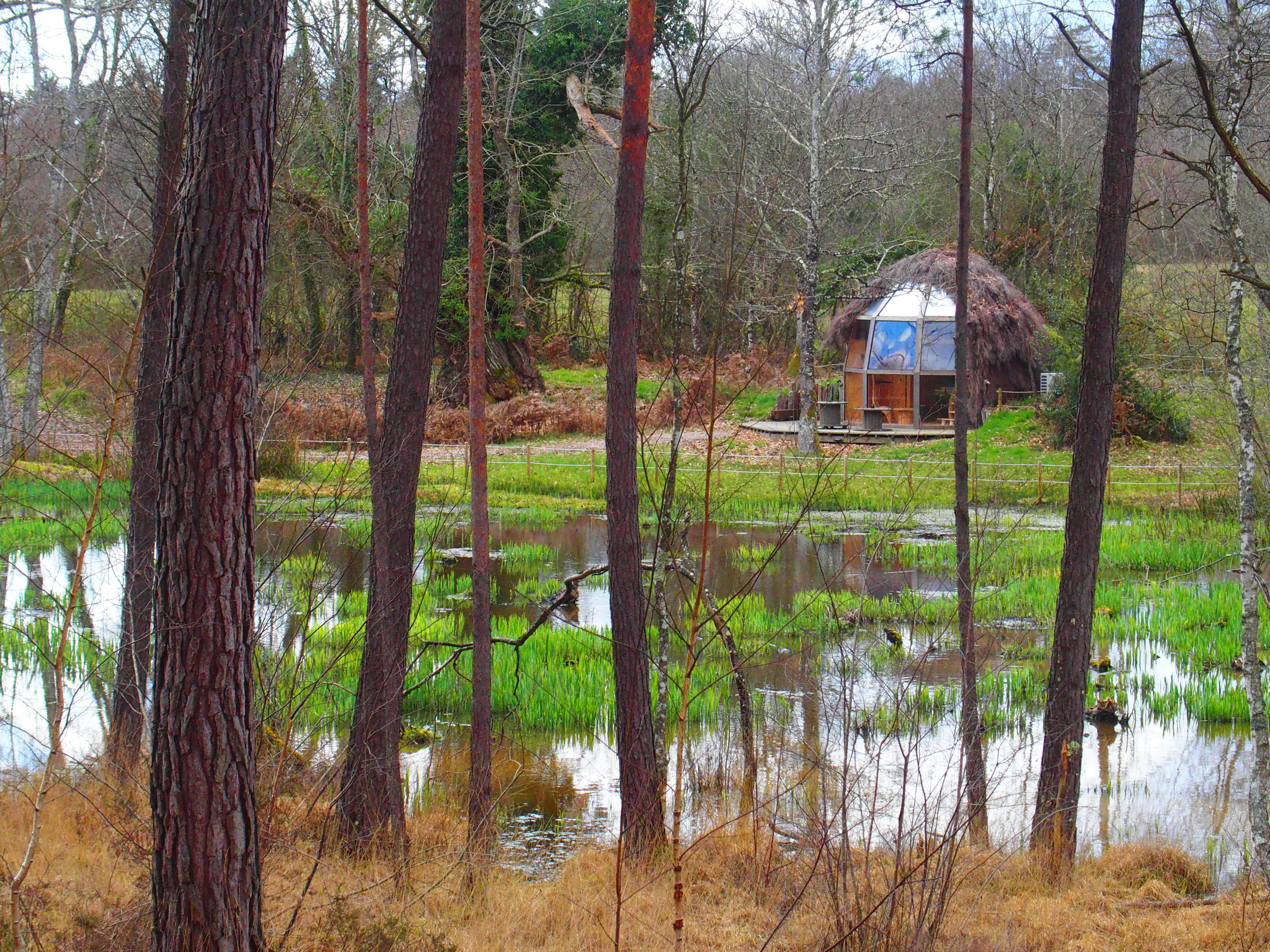 Le cul de loup du jardin des lierres, Vouzon - photo 2