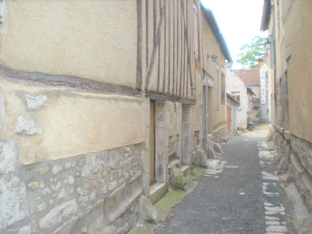 Gîte la Conviviale, Châtillon-sur-Loire - photo 3