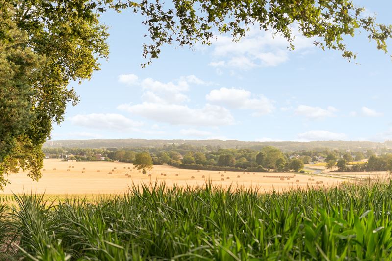Manoir de Pierre Levée, Tournon-Saint-Martin - photo 8