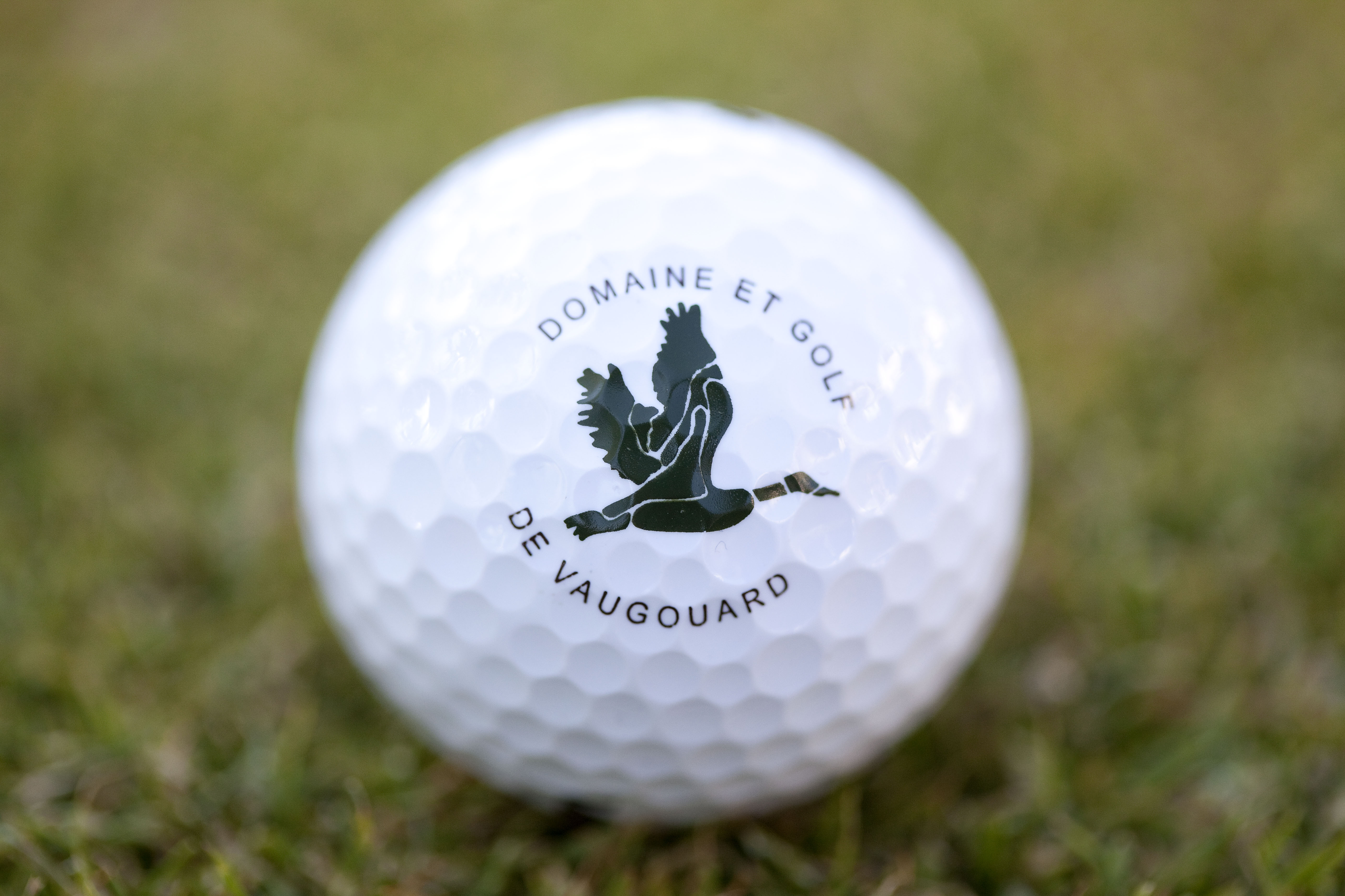 Domaine et Golf de Vaugouard, Fontenay-sur-Loing - photo 3